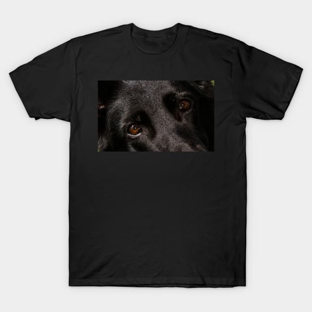 Black german shepherd eyes T-Shirt by Wanderingangel